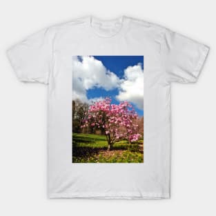 Magnolia Tree Batsford Arboretum Cotswolds UK T-Shirt